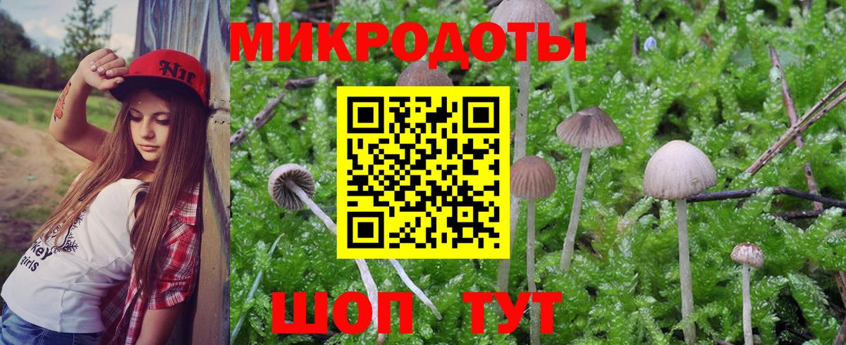 Горячий Ключ  Псилоцибиновые грибы Psilocybe  Вход с VPN 