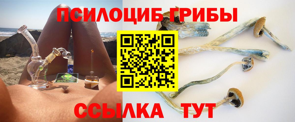 Галлюциногенные грибы мухоморы Горячий Ключ